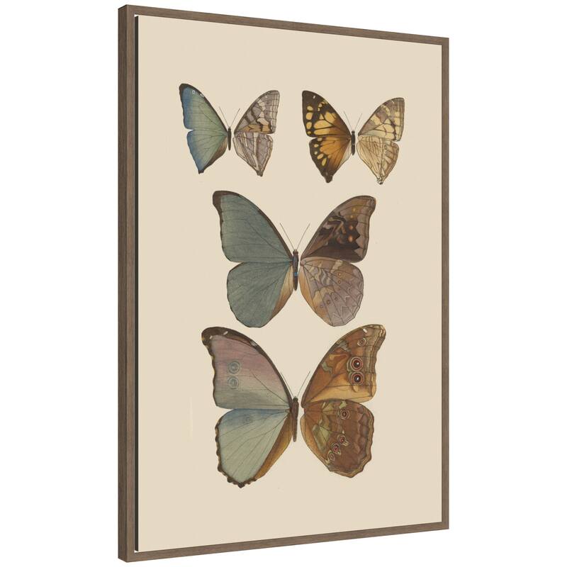 Kate and Laurel Exotische schmetterlinge Pl 067 by Otto Staudinger by Nostalgia Prints Framed Canvas Wall Art Print - 23 x 33