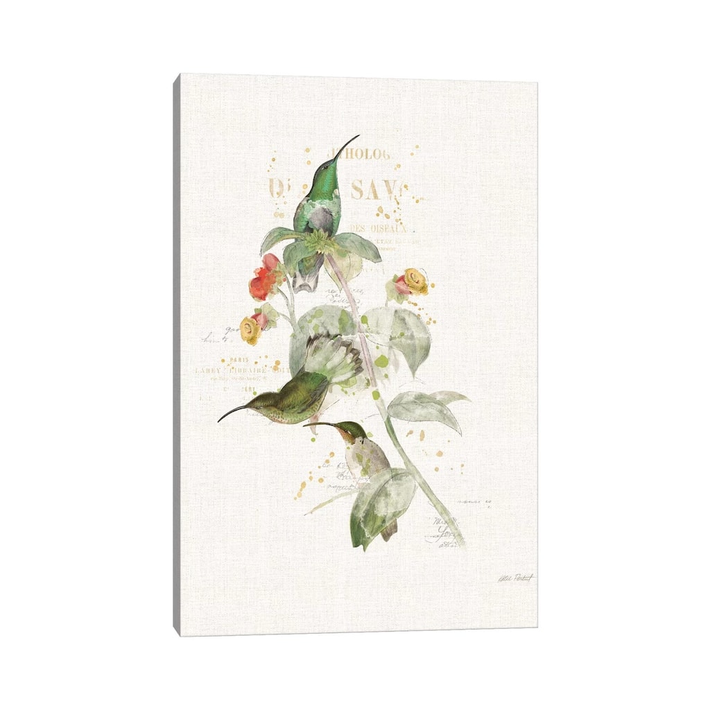 iCanvas "Colorful Hummingbirds III" by Katie Pertiet Canvas Print