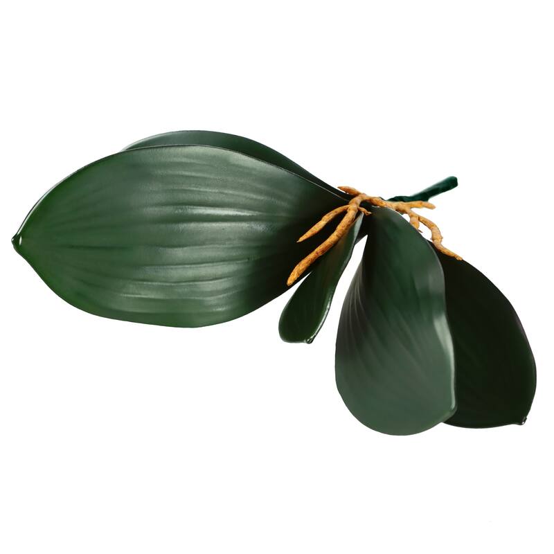 Set of 3 Artificial Phalaenopsis Orchid Leaf Plant Greenery Foliage Spray Branch with Roots 12in - 8" L x 12" W x 3.5" DP