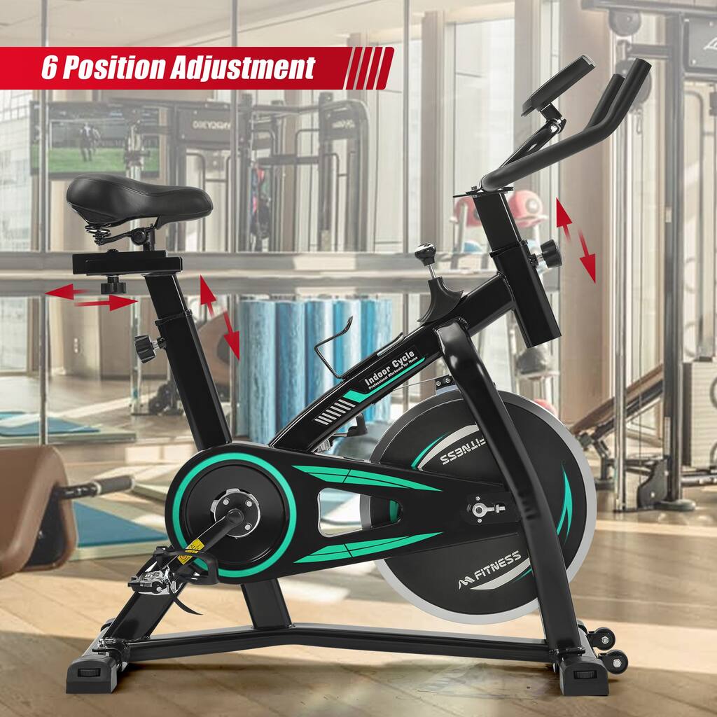 Nestfair Stationary Indoor Cycling Bike with LCD Monitor