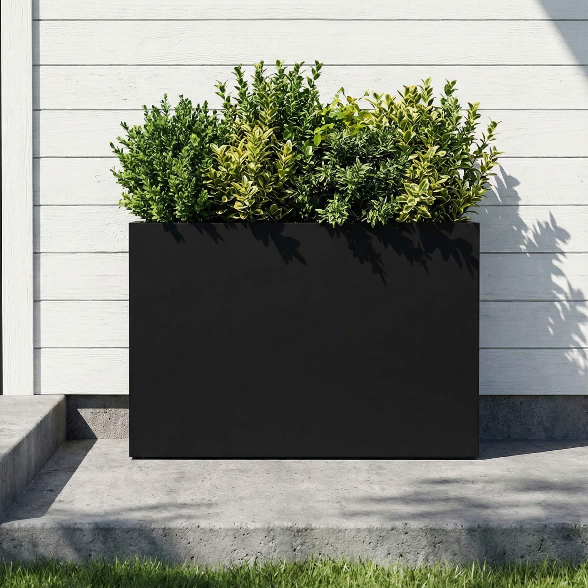 Option Black-1PC