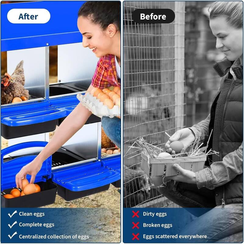6-Hole Metal Chicken Nesting Box or Easy Cleaning