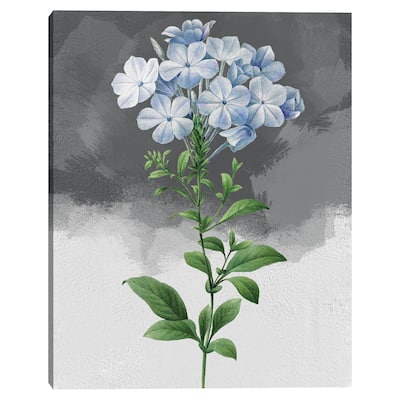 Plumbago Grey by Design Lab Canvas Art Print