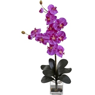 Double Giant Phalaenopsis w/Vase - 30.75 - Bed Bath & Beyond - 36802793