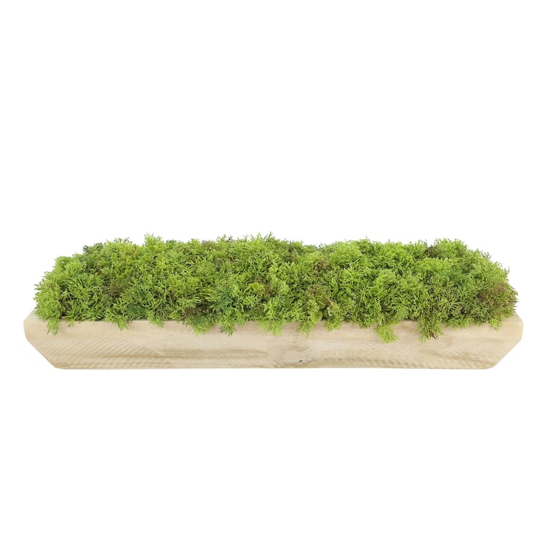 Moss Arrangement in Wood Dough Bowl - Green