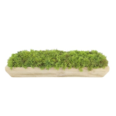 Moss Arrangement in Wood Dough Bowl - Green