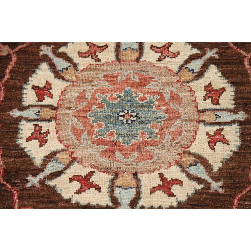 Brown Vegetable Dye Ziegler Oriental Area Rug Handmade Wool Carpet - 7'3" x 9'10"