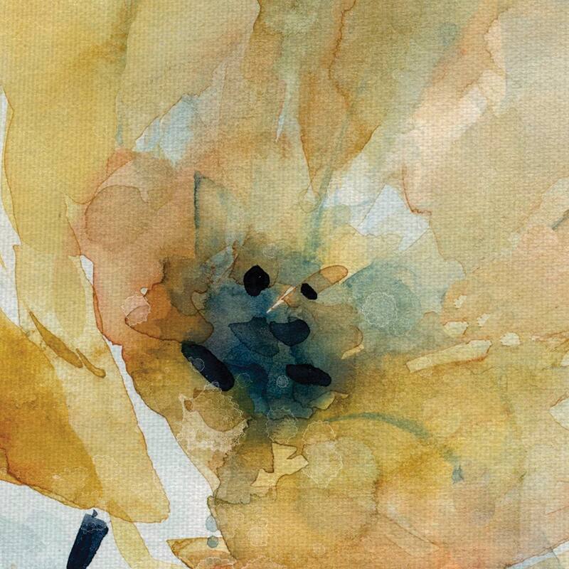 Holland Spring Blooms I, II by Carol Robinson Canvas Art Prints