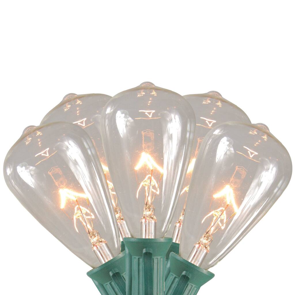 10-Count Clear Edison Glass Patio Lights, 9ft Green Wire
