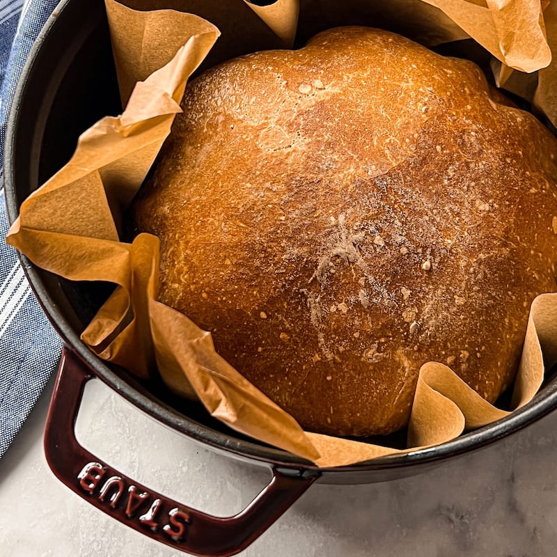 STAUB Cast Iron 5.75-qt Coq au Vin Cocotte