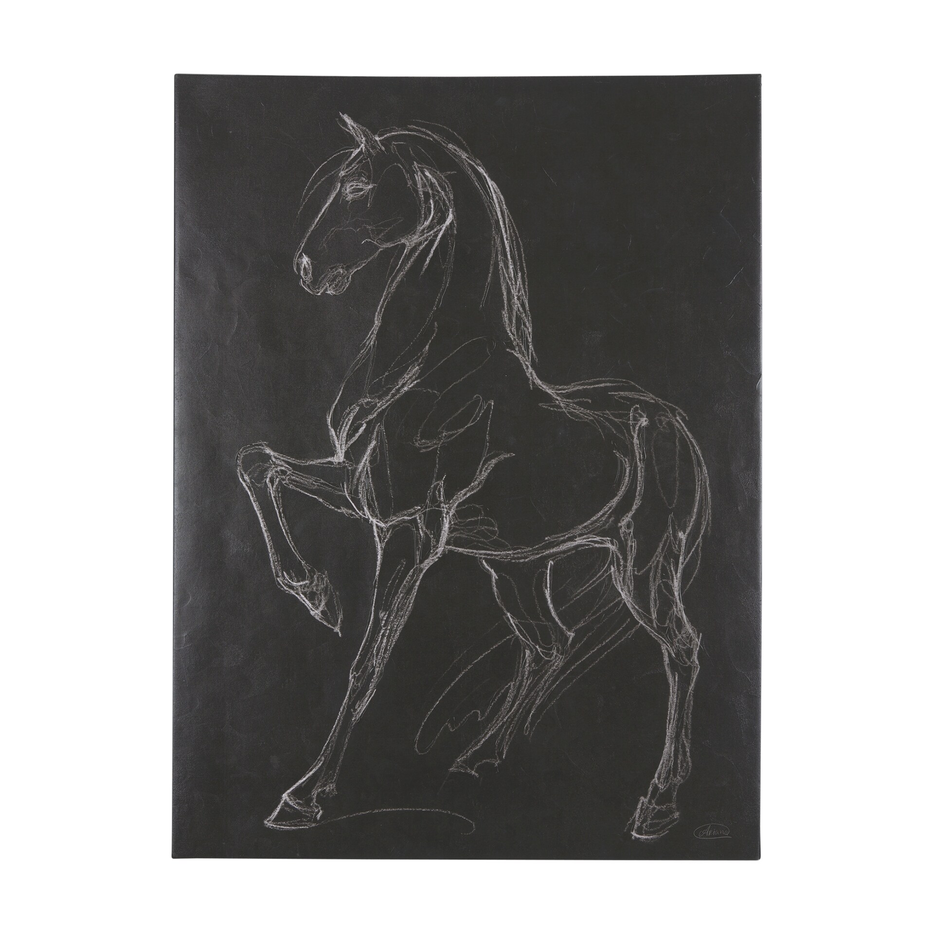 Horse IV (42 x 56 ) Canvas Art Print
