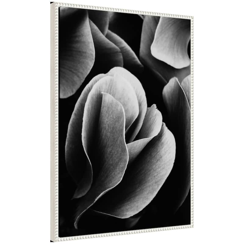 Kate and Laurel Sylvie Black and White Flower Petals Framed Canvas by Emiko and Mark Franzen of F2Images - 23x33