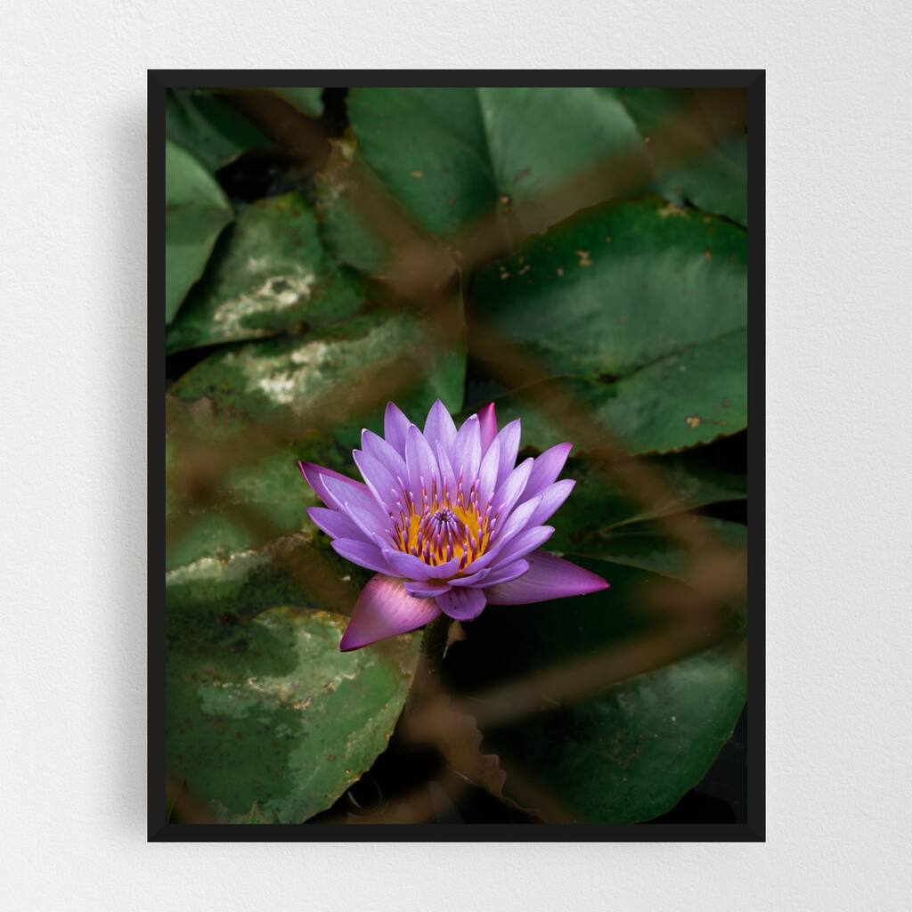 Family Floral Botanical Flower Nature Framed Wall Art Print