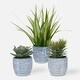 preview thumbnail 2 of 1, Succulent and Grass Centerpiece with Ceramic Pot - 22" - Set of 3