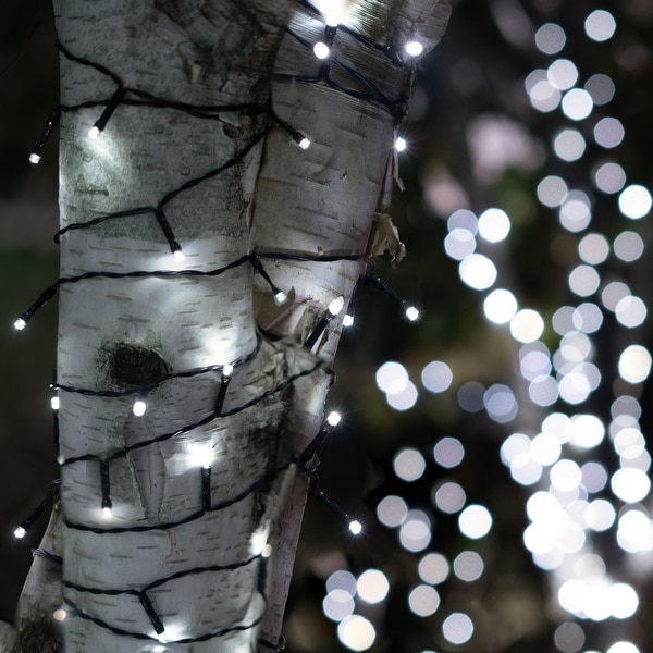 Solar Powered 225 LED String Light - 2 Pack, Multiple Color Options - 2 Pack. Opens flyout.