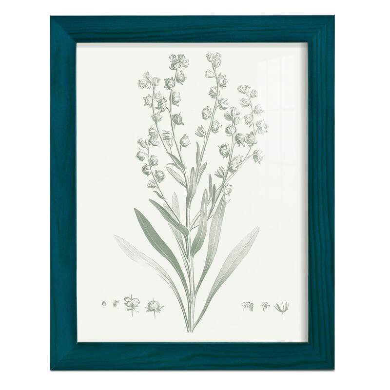 Botanical Study in Sage I -Framed Print w/glass-Cherry Red