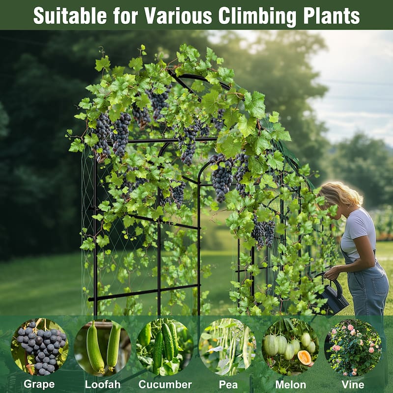 Large Metal Archway Arbor Plants Arch Trellis Garden Tunnel with Climbing Net