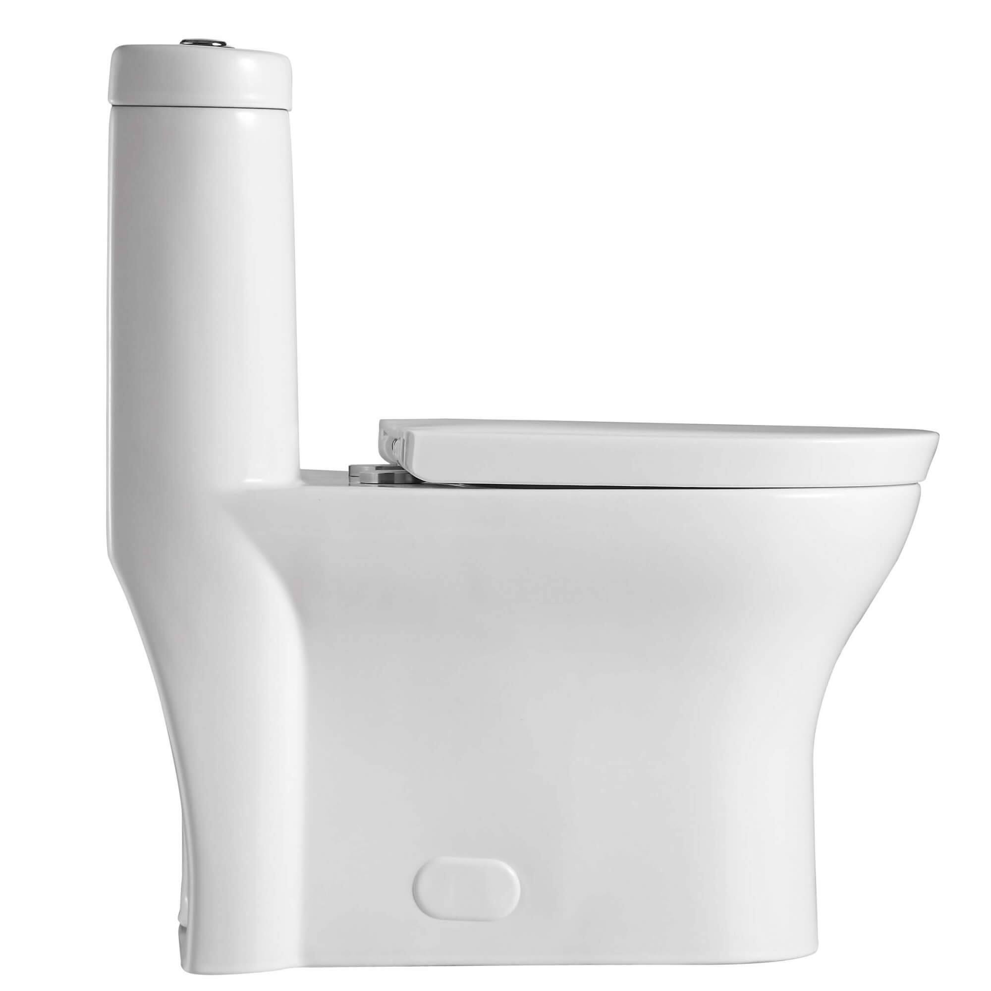 Fine Fixtures DualFlush Elongated OnePiece Toilet with High