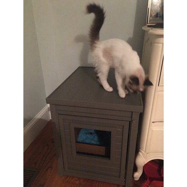 ecoflex cat litter box