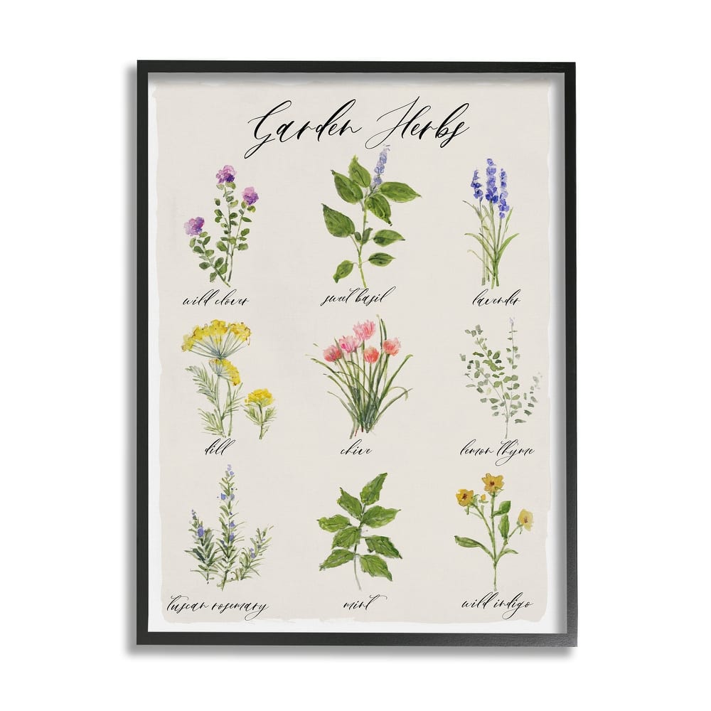 Stupell Garden Herb Illustrated Chart Natural Kitchen Seasoning Framed Wall Art - White