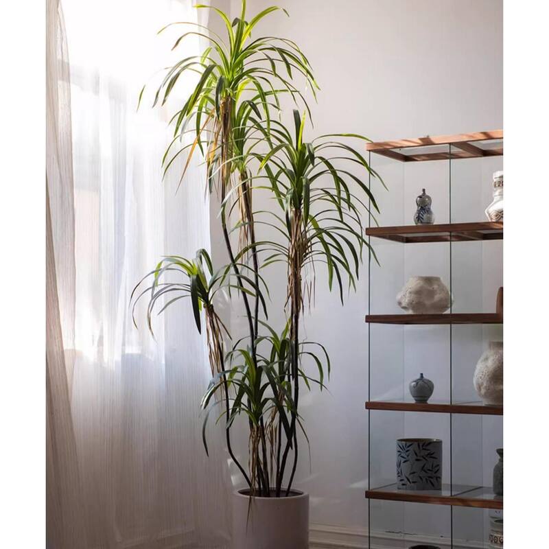 RusticReach Artificial Dracaena Tree