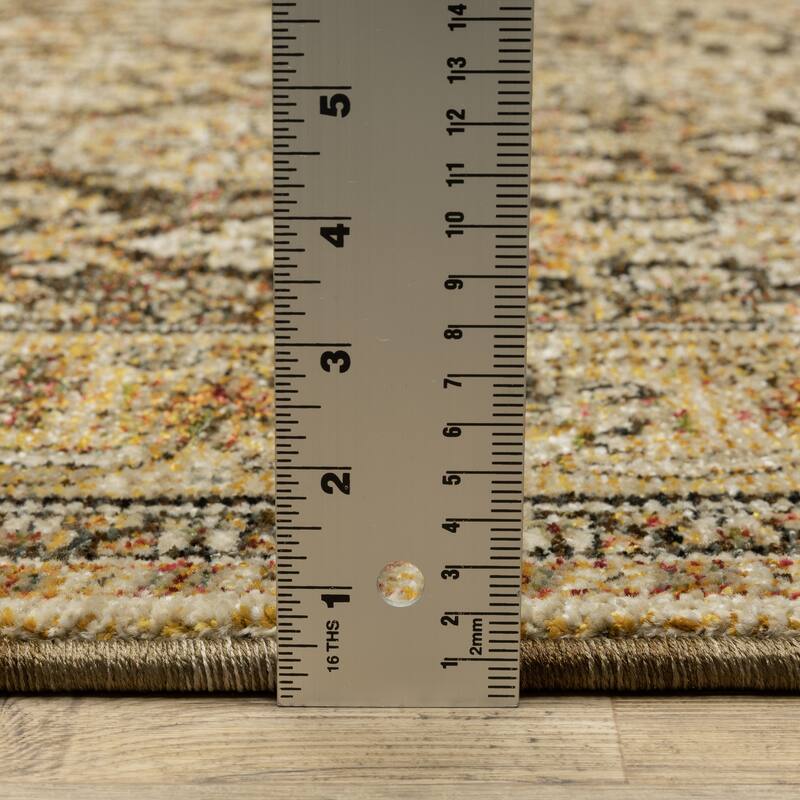 Style Haven Adalynn Bordered Traditional Brown/ Gold Area Rug