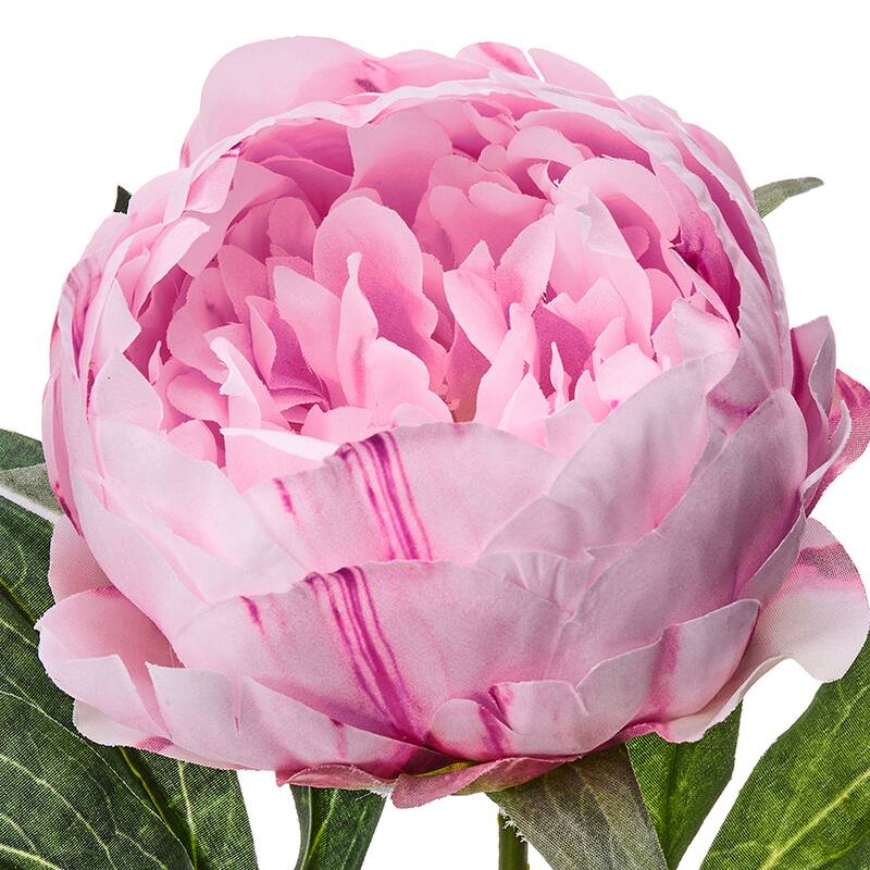 21" Lovely Peony Stem Set of 3