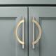 Option Brushed Satin Nickel Gold