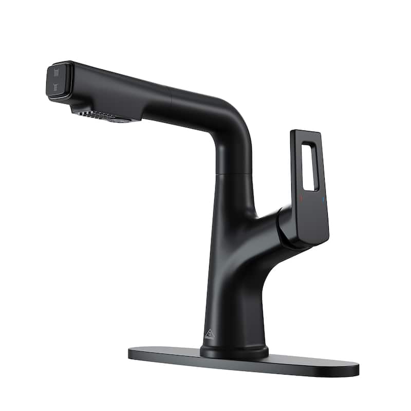 Single Handle Pull Out Sprayer Kitchen Faucet with Advanced Spray