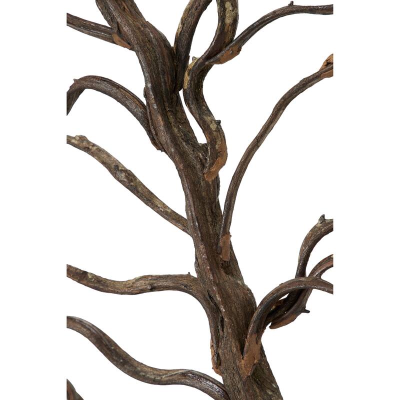 Teak Wood Tree Branch Wall Decor with Black Frame - Brown - Roche River Decor