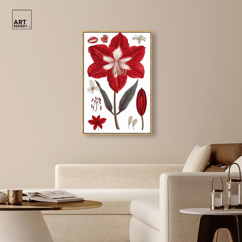 Amaryllis Anatomy Canvas by Art Remedy