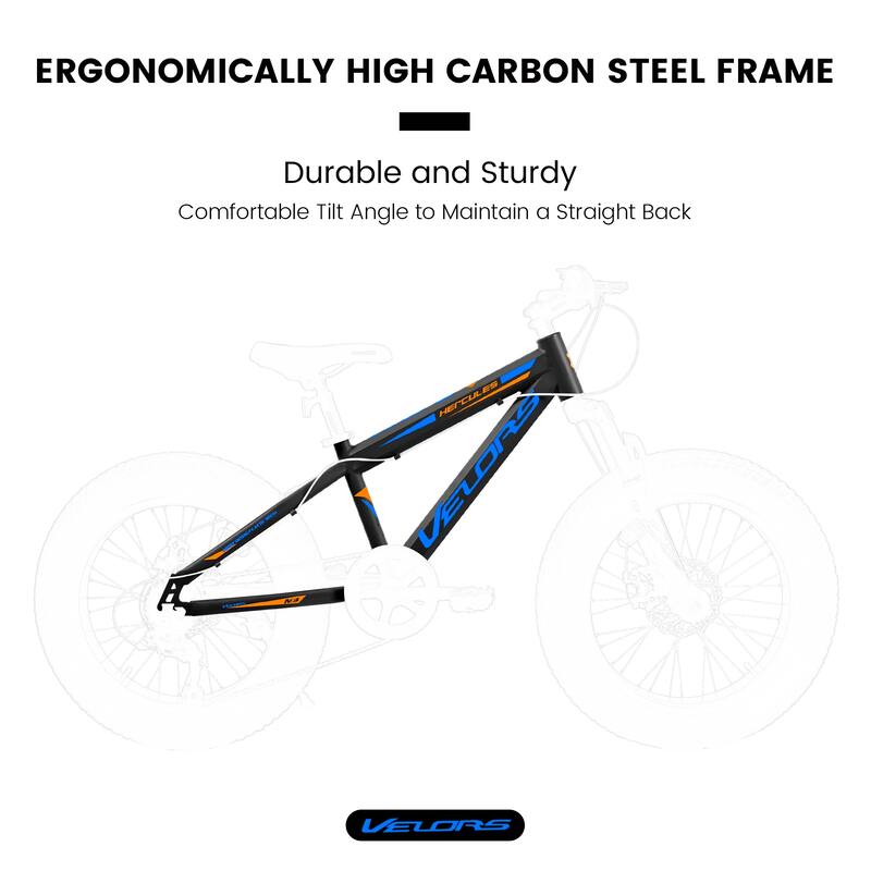 20 Inch Fat Tire Bike Adult 7 Speed Mountain Bike, Dual Disc Brakes,High Carbon Steel Frame,Front Suspension,City Commuter Bike