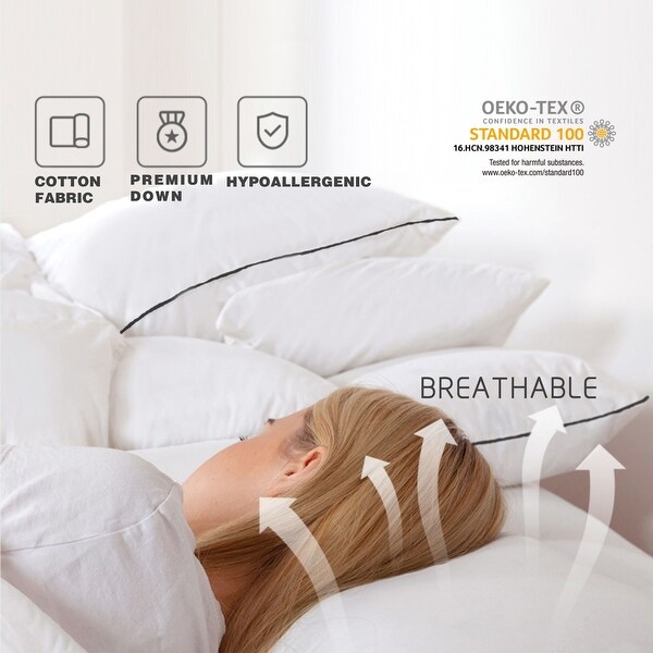 Double down pillow online