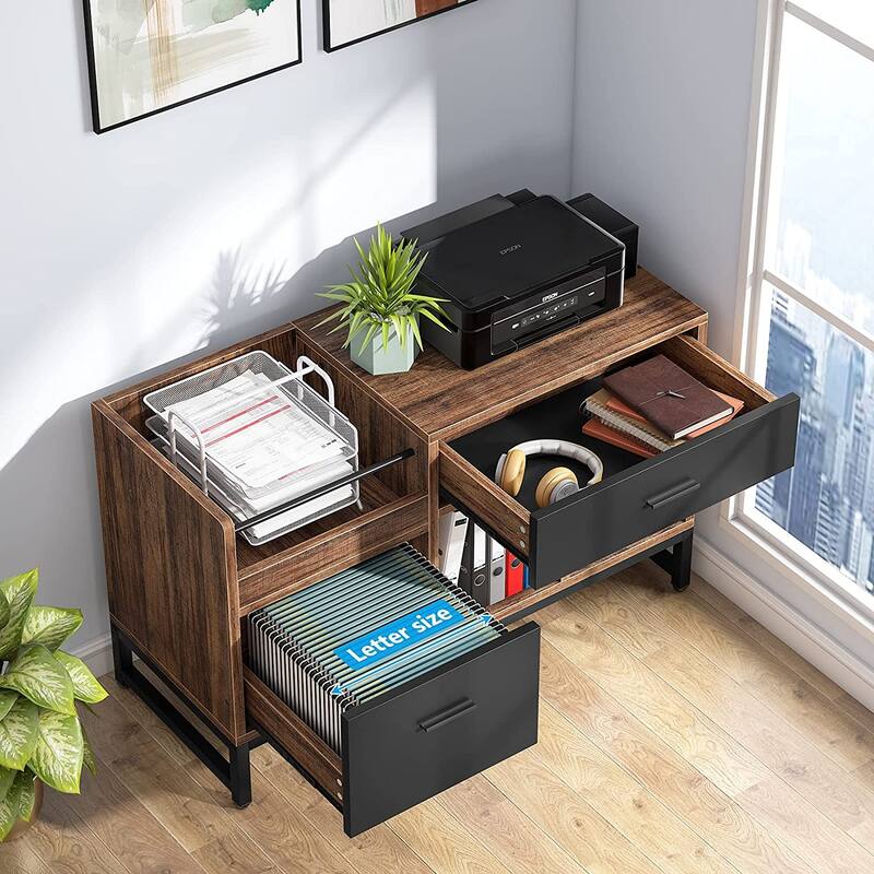 Lateral File Cabine with 2 Drawers for Home Office