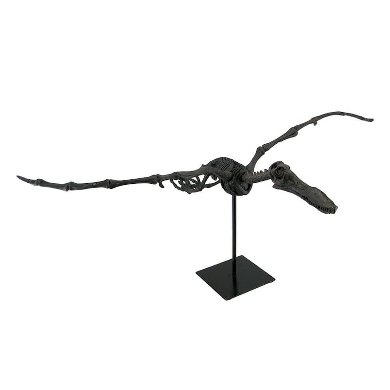 Museum Mounted Pterosaur Flying Dinosaur Fossil Replica Statue - 13.5 X 31 X 20 inches