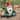 Design Toscano Zen Garden Gnome Statue