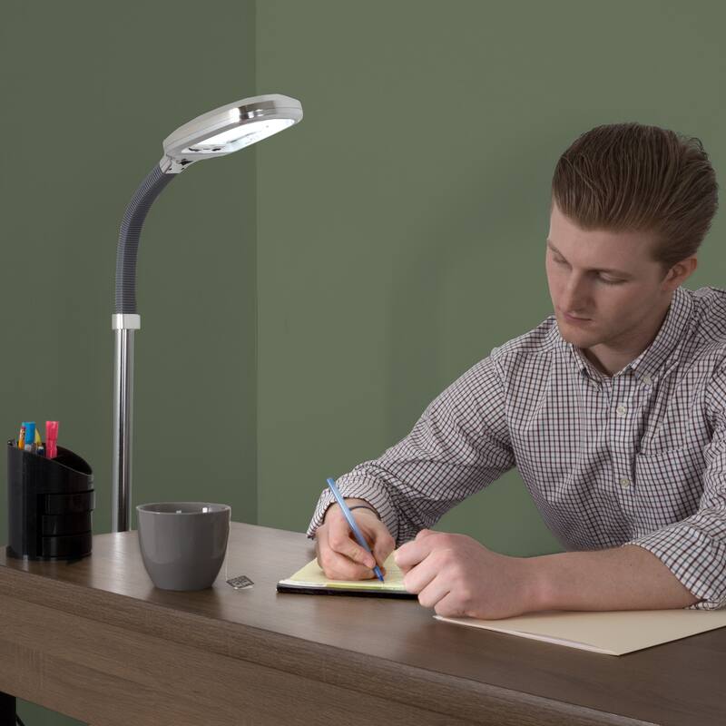 Natural Full Spectrum Sunlight Reading Floor Lamp by Windsor Home (5 Ft)