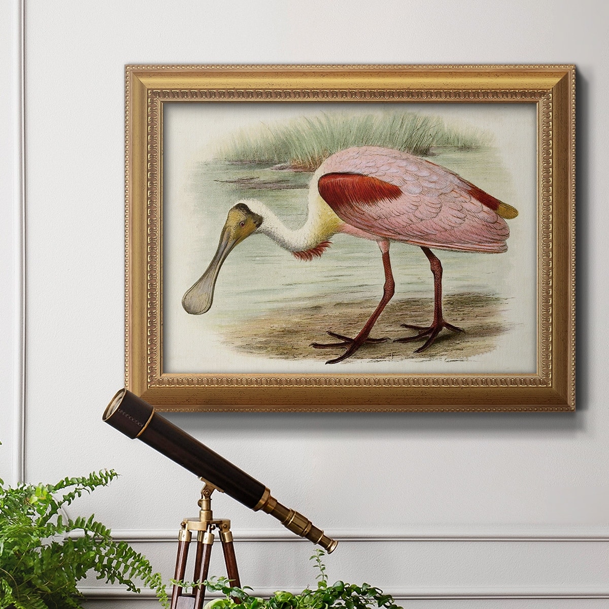 Spoonbill acrylic painting buy 16x20 canvas