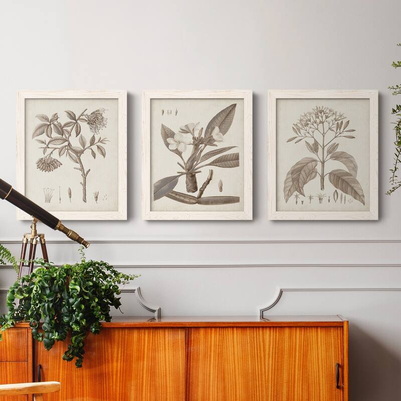Antique Sepia Botanicals I-Premium Framed Canvas - Ready to Hang ...
