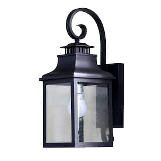 Morgan 1 Light Exterior Wall Lamp in Black Finish - Black Finish