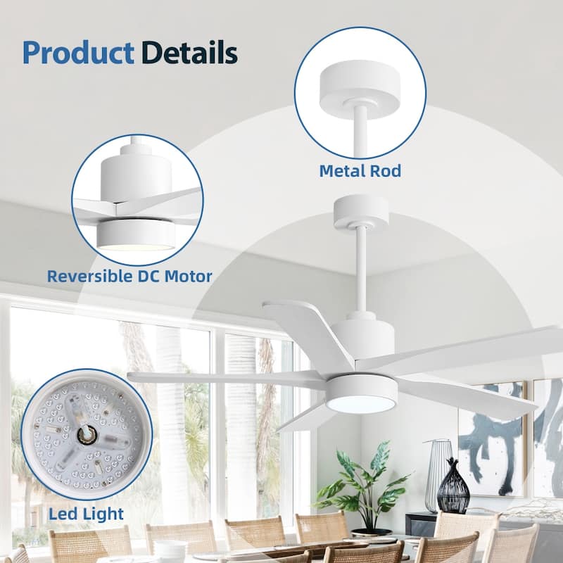 WINGBO 54" and 64" 5 ABS Blades DC Motor Indoor Ceiling Fan with Light & Remote
