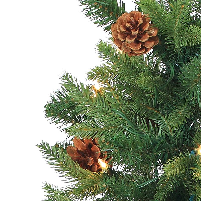 Charming 4 Foot Potted Natural Cut Georgia Pine