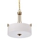 preview thumbnail 1 of 8, Nuvo Lighting 60/8204 Liam 3 Light 16" Wide Pendant Burnished Brass