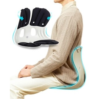 Chair [Adult] Ergonomic Back and Lumbar Support for Good Posture ...