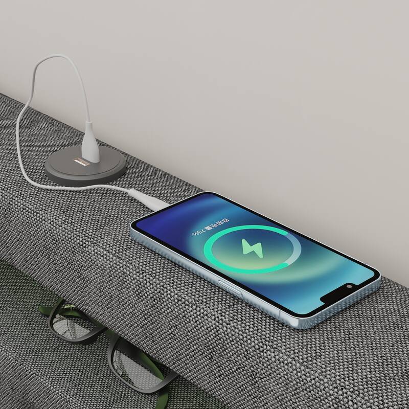 Dark Grey Twin Size Platform Bed with 4 Storage Drawers,USB Charging Station and LED Lights