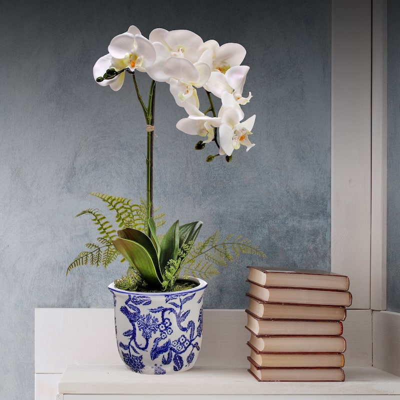 Phalaenopsis And Fern In Ceramic Pot 22"