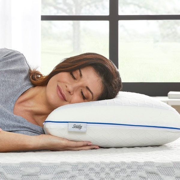 SealyChill Gel Memory Foam Bed Pillow with Anti Microbial Cover