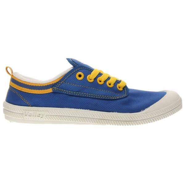 Shop Volley Australia Mens Volley Canvas International Skate
