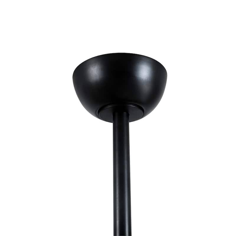 Fergus 5-Blade Lighted Ceiling Fan with LED Lamp with Remote