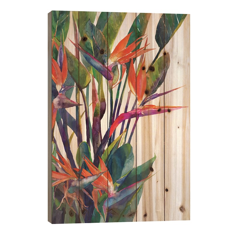 Bird Of Paradise Print On Wood by Maja Wronska - Multi-Color - 40x26x1.5